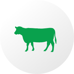 icono-home-bovinos